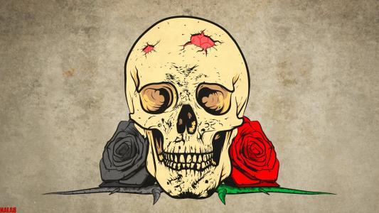 哥特式头骨和玫瑰全高清壁纸和背景