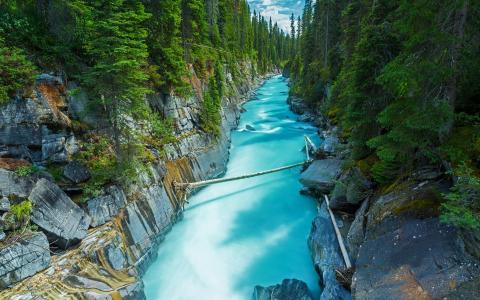 加拿大森林中的一条蓝色河流