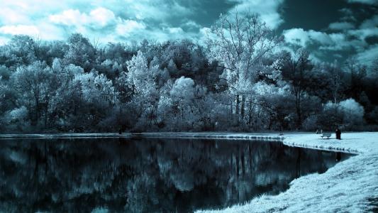在冬天湖的岸边覆盖着白霜树