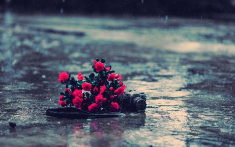 一束鲜花和雨中的相机