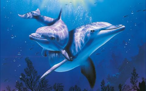 海豚在蓝色的水中