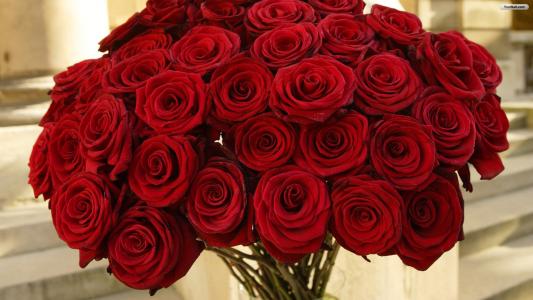 3月8日，一束红玫瑰