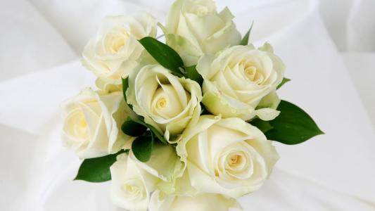 在一个美丽的花束的白玫瑰在白色背景为三月八日