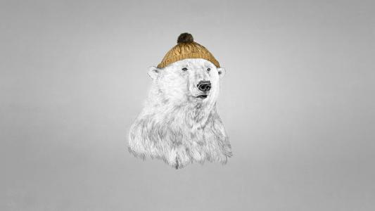 北极熊在一顶帽子