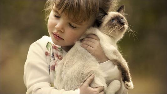 抱着一只小猫的小女孩
