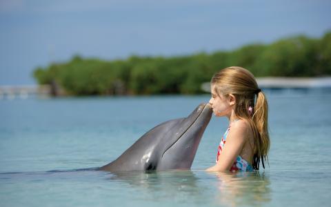 亲吻海豚的小女孩