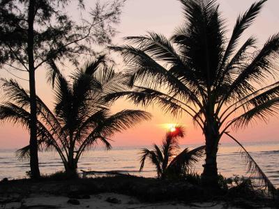 日落之间在酸值Kood海岛，泰国上的棕榈树
