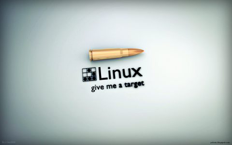 给我一个目的，Linux背景