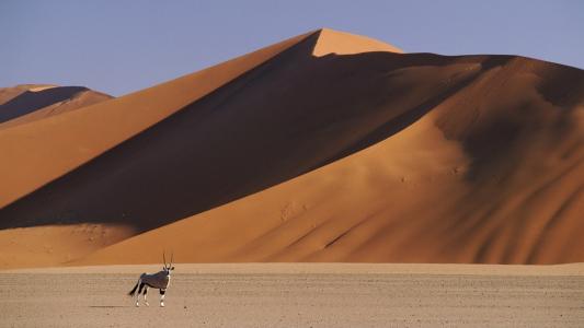 纳米比亚沙漠