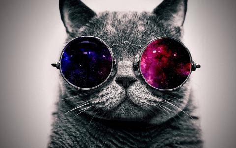 与猫眼镜的宇宙