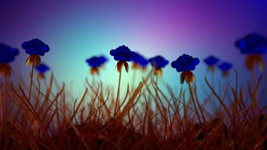 枯萎的蓝色花朵