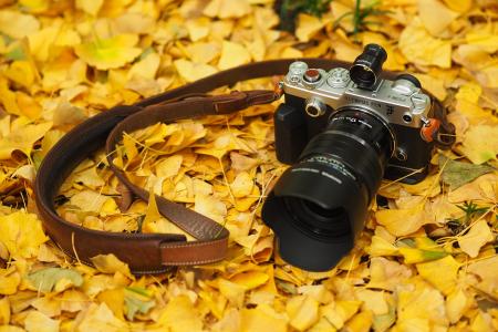 奥林巴斯Pen-F相机位于黄色的秋天树叶上