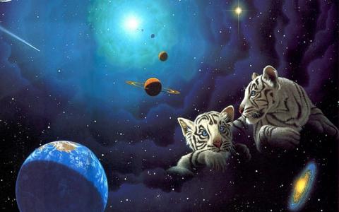 两只白虎幼崽在太空中
