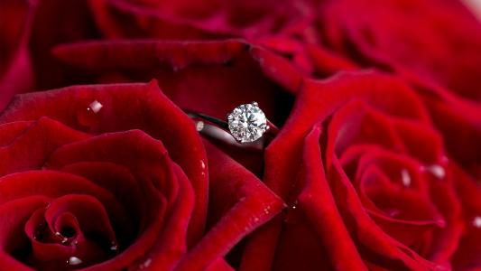 红玫瑰和戒指，手和心的建议