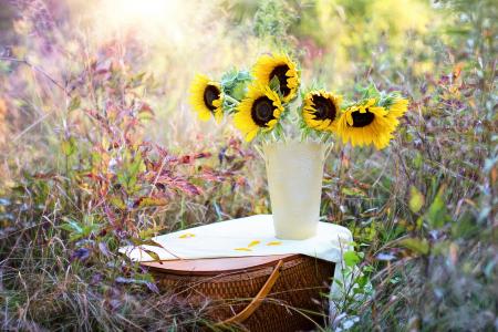 一个向日葵在花瓶中的黄色花朵站在一个篮子里