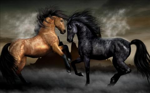 两匹马黑色和棕色