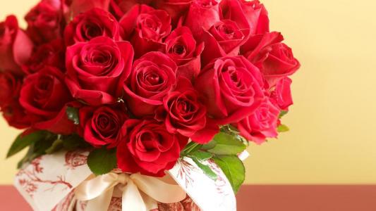 红玫瑰花束3月8日在柔和的背景上