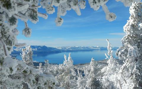 在积雪覆盖的树枝框架的高山湖泊