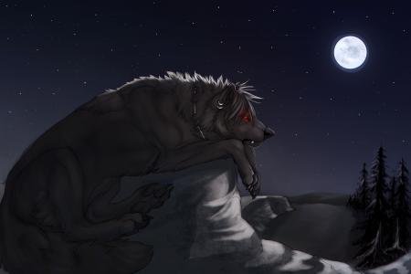 大黑狼在月光下的石头上