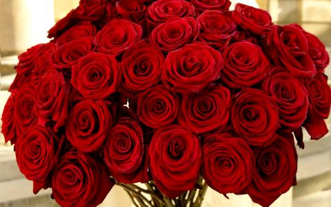 华丽的红玫瑰花束3月8日