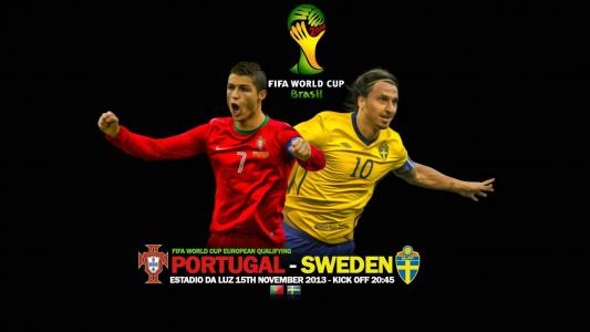 在2014年巴西世界杯上与葡萄牙瑞典队比赛
