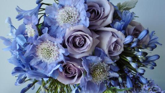 蓝色和紫罗兰色的花朵