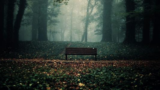 板凳，雾，公园