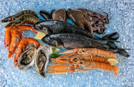 海鲜虾，鱼，贻贝躺在冰上