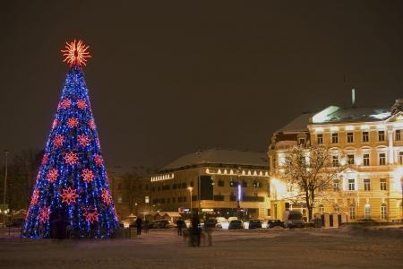 新年马的圣诞树在维尔纽斯