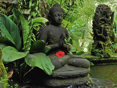 在巴厘岛丛林里的佛像