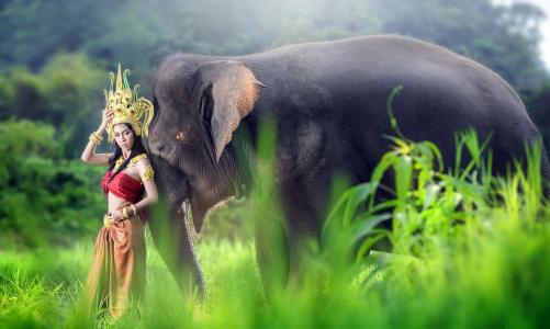 在一个漂亮的西装，与一个大的灰色大象的亚洲女孩