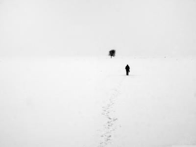 雪，孤独的人，光秃秃的树，寂寞