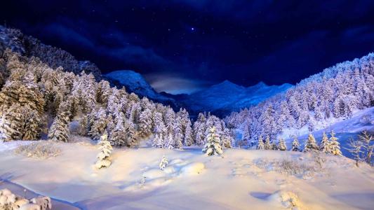 冬天的夜晚，在白雪覆盖的森林里