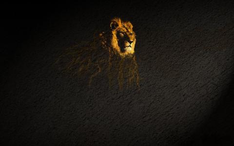 一个狮子在棕色背景上的投影