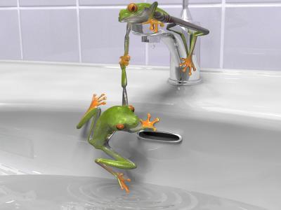 绿色的青蛙在水槽里