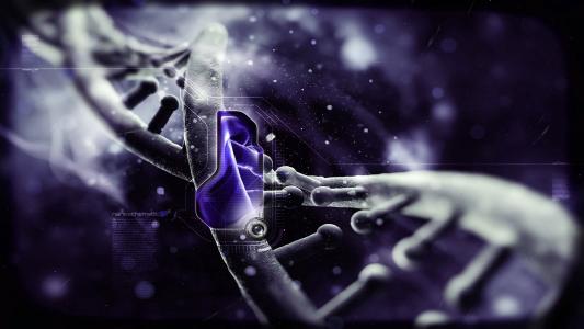 DNA中的遗传密码