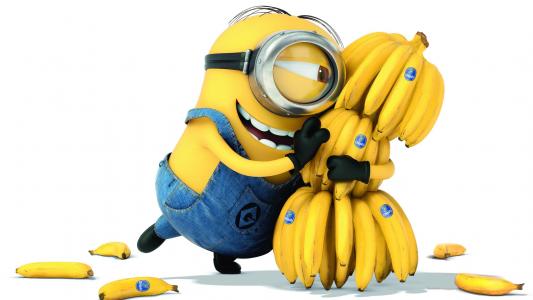迷迭香拥抱香蕉