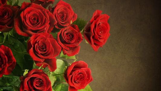 豪华的红玫瑰花束3月8日