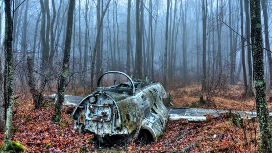 飞机在森林里的残骸