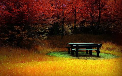 舒适的地方，在秋天的公园