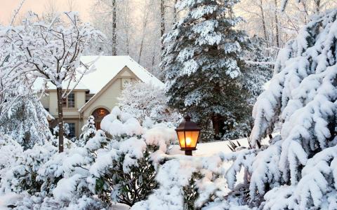 白雪覆盖的树木中的房子