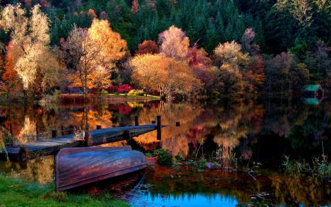 秋天的树在湖边