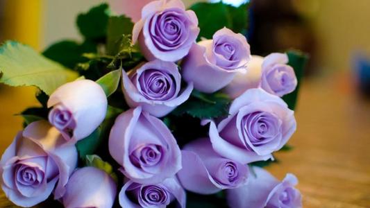 3月8日，一束紫色的玫瑰
