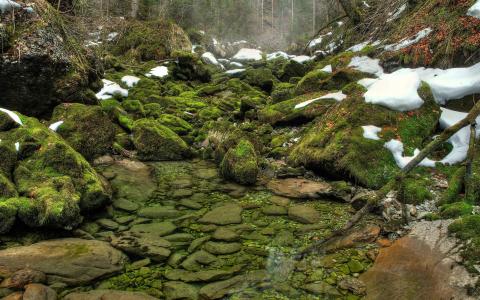 透过长满苔藓的岩石清澈的湖水