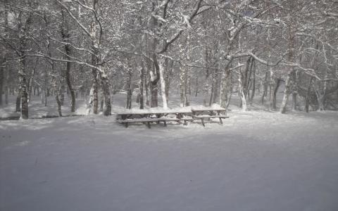 在公园的长椅上下了雪