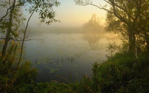 在湖上有雾的早晨