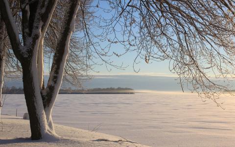 冰冷的冬天的一天在湖上