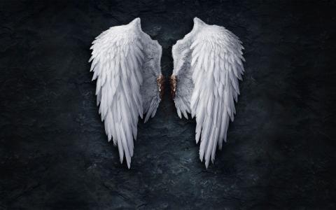 破碎的天使的翅膀