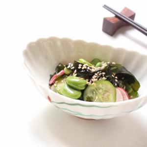 日本黄瓜和萝卜Sunomono用蚕豆和裙带菜